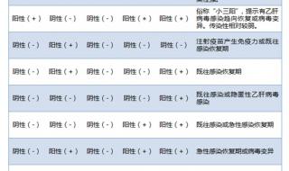 乙肝五项正常结果图